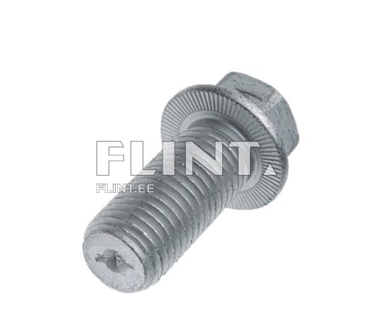 Rummu polt Horsch 00360195/00360922 M20x45 10.9