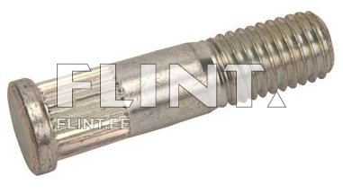 Roostevabast terasest polt, millel on sooned ja lame peal.