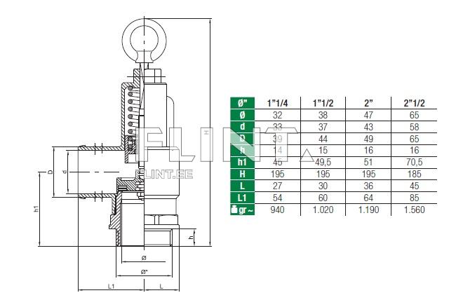 Kaitseklapp 2 1/2" MZ