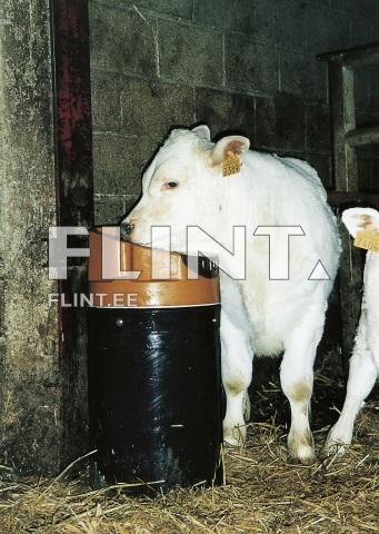 Jooturi alus lammastele H-400mm