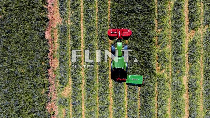 Rootorniiduk Enorossi DM