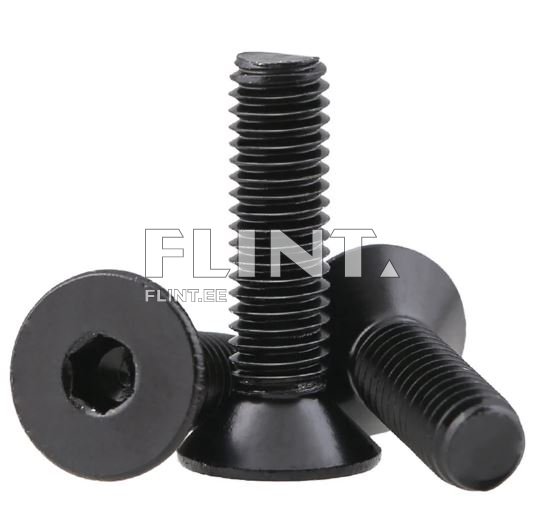 Polt M5x25 sisekk. peitepea