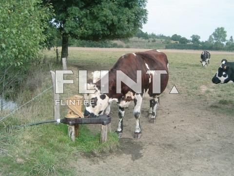 Pump-jootur AQUAMAT II 0,5L