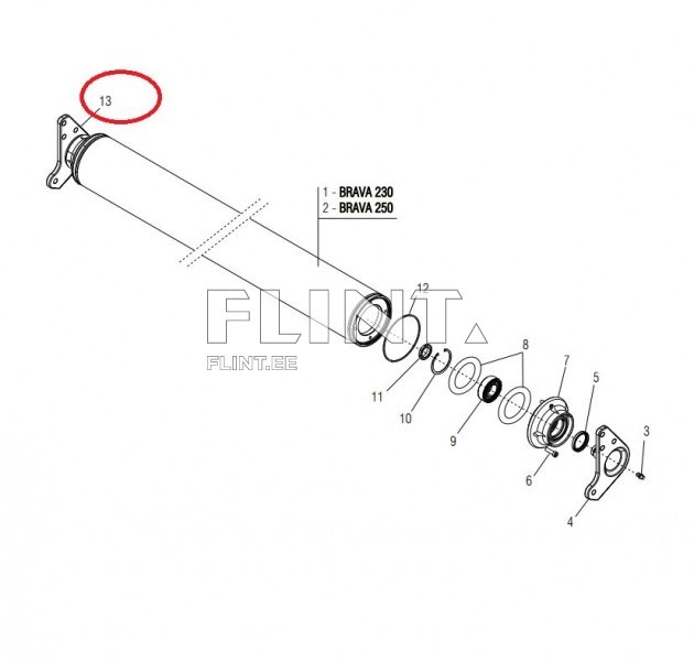 Pale Maschio M30400631R (vasak)