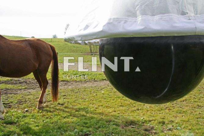 Pildil on pruun hobune, kes seisab rohelises, muruga kaetud maastikus. Kõige esiplaanil on suur must ümar objekt, mis ripub valge võrgu all. Taustal on rohelised põllud ja puu.