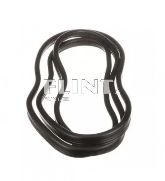 Ukseklaasi tihend Case/ New Holland 87679905