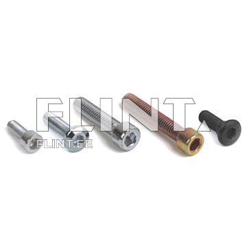 Polt M10x20 sisekk. peitepea