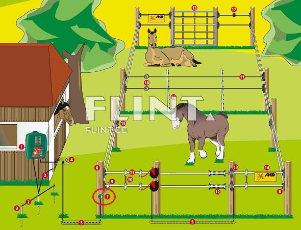 Pildil on hobuste aed ja aediku joonised. Vasakul on tall, millel on punane katus ja must hobune aknas. Keskel on suur aed, kus on kaks hobust, üks lamab ja teine seisab. Aed on jagatud kaheks plokiks, ülemises osas on värav. Aeda ümbritsevad puud.