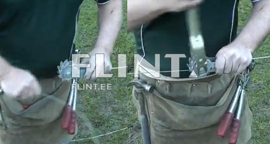 Taraliini pinguti hoob