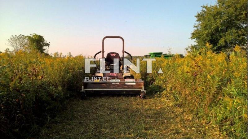 Moosimisrobot rohumaal, ümbritsetud kõrge rohu ja lilledega, päikesetõusu taustal.